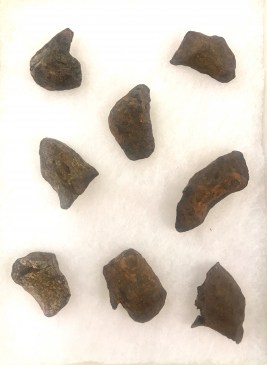 Meteorite Mundrabilla